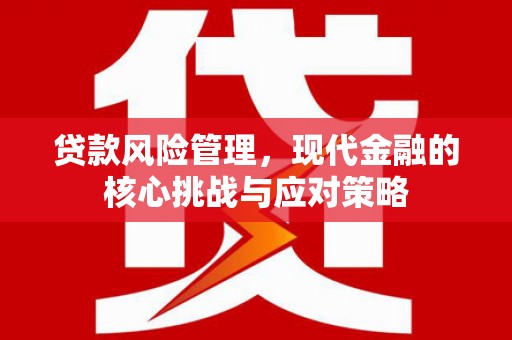 芦洲贷款风险管理，现代金融的核心挑战与应对策略