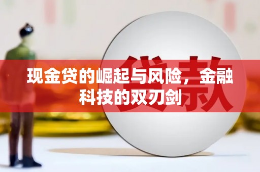 芦洲现金贷的崛起与风险，金融科技的双刃剑