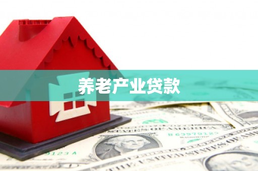 芦洲养老产业贷款