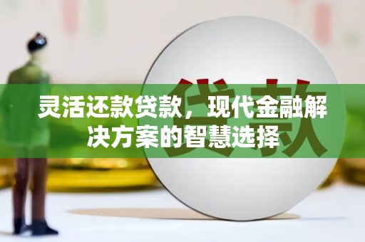 芦洲灵活还款贷款，现代金融解决方案的智慧选择