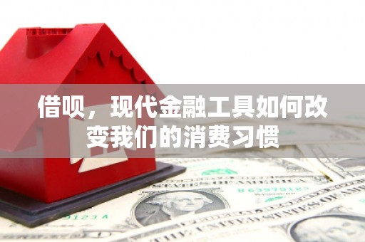 芦洲借呗，现代金融工具如何改变我们的消费习惯
