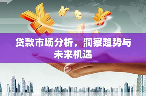 芦洲贷款市场分析，洞察趋势与未来机遇