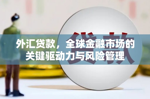 芦洲外汇贷款，全球金融市场的关键驱动力与风险管理