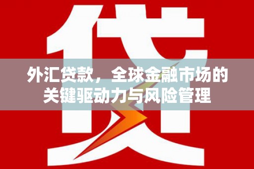 芦洲外汇贷款，全球金融市场的关键驱动力与风险管理