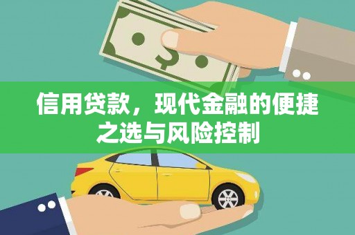 芦洲信用贷款，现代金融的便捷之选与风险控制