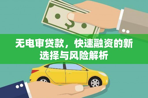 芦洲无电审贷款，快速融资的新选择与风险解析