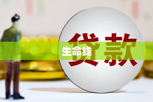 芦洲生命线