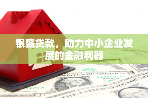 芦洲银盛贷款，助力中小企业发展的金融利器