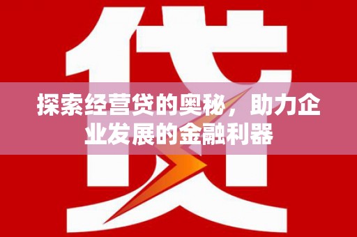 芦洲探索经营贷的奥秘，助力企业发展的金融利器