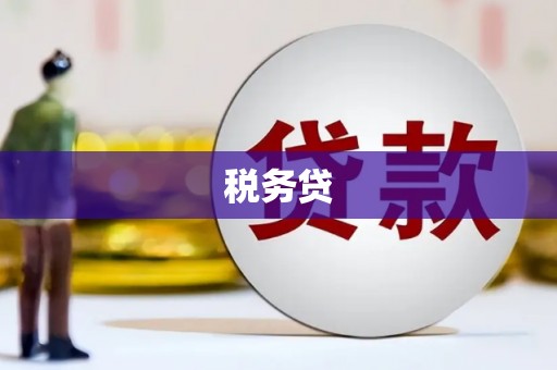 芦洲税务贷