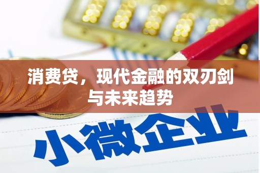 芦洲消费贷，现代金融的双刃剑与未来趋势