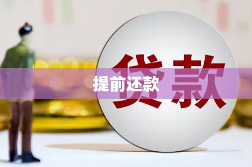 芦洲提前还款