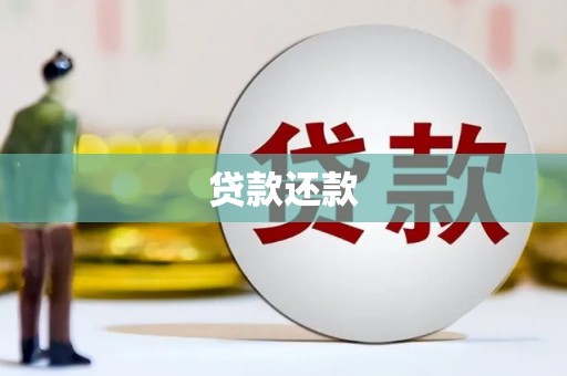 芦洲贷款还款