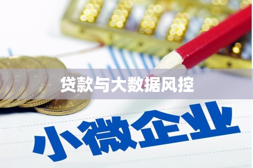 芦洲贷款与大数据风控