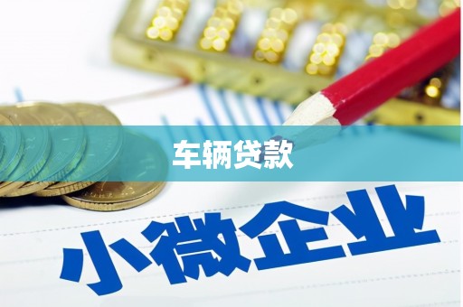 芦洲车辆贷款
