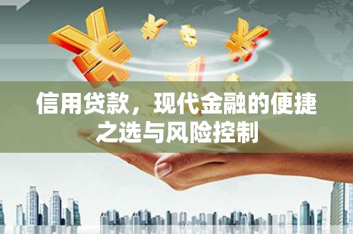 芦洲信用贷款，现代金融的便捷之选与风险控制