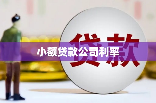 芦洲小额贷款公司利率