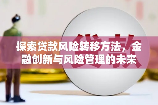 芦洲探索贷款风险转移方法，金融创新与风险管理的未来