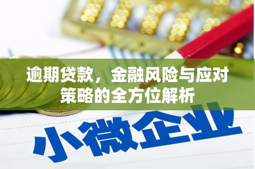 芦洲逾期贷款，金融风险与应对策略的全方位解析