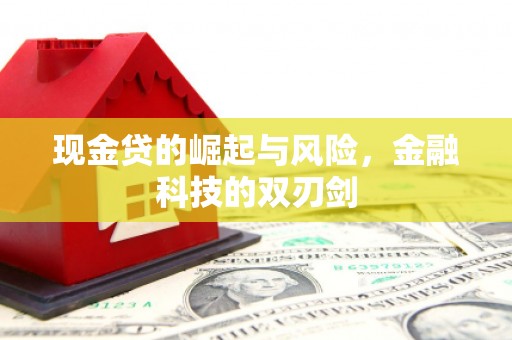 芦洲现金贷的崛起与风险，金融科技的双刃剑