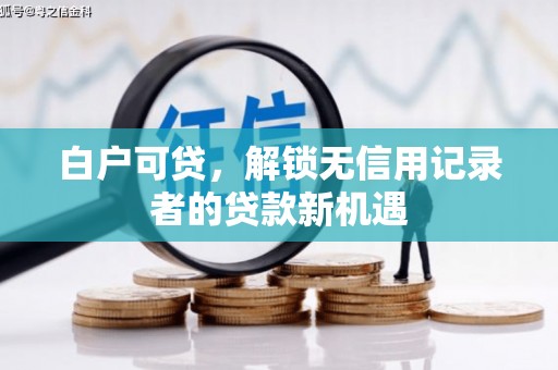 芦洲白户可贷，解锁无信用记录者的贷款新机遇