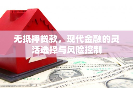 芦洲无抵押贷款，现代金融的灵活选择与风险控制