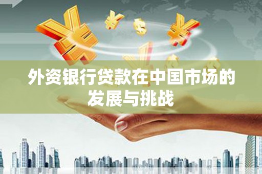 芦洲外资银行贷款在中国市场的发展与挑战