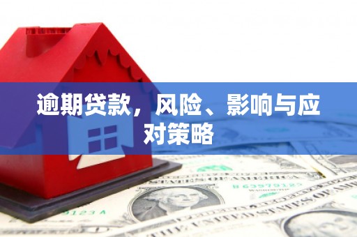芦洲逾期贷款，风险、影响与应对策略