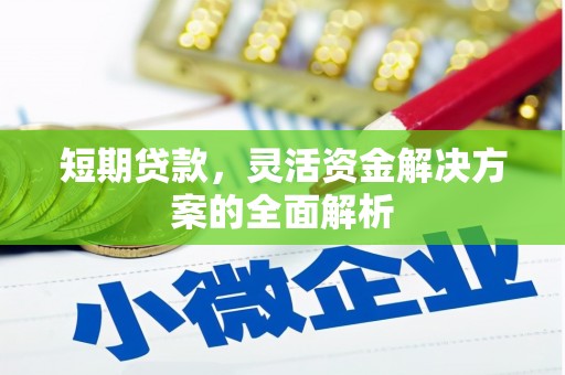 芦洲短期贷款，灵活资金解决方案的全面解析