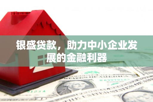 芦洲银盛贷款，助力中小企业发展的金融利器