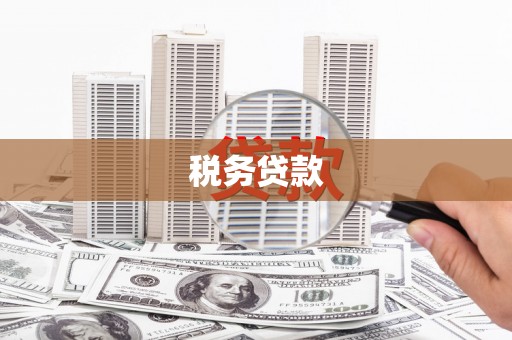 芦洲税务贷款