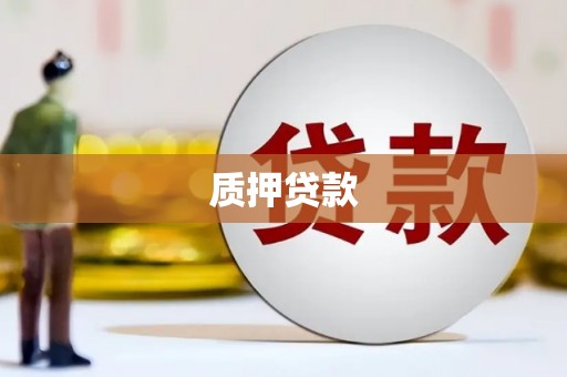 芦洲质押贷款
