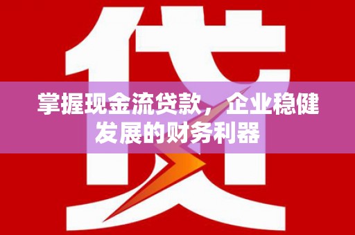 芦洲掌握现金流贷款，企业稳健发展的财务利器