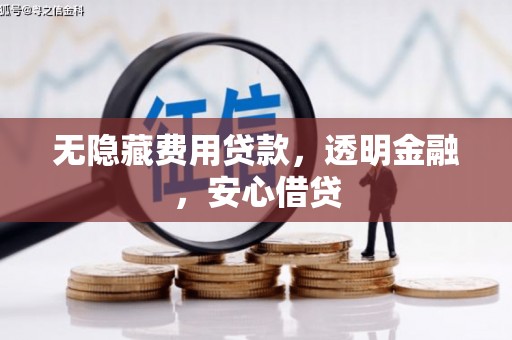 芦洲无隐藏费用贷款，透明金融，安心借贷