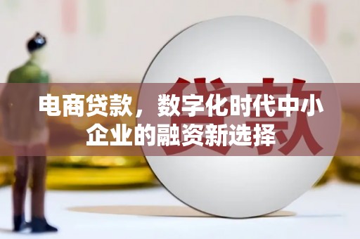 芦洲电商贷款，数字化时代中小企业的融资新选择