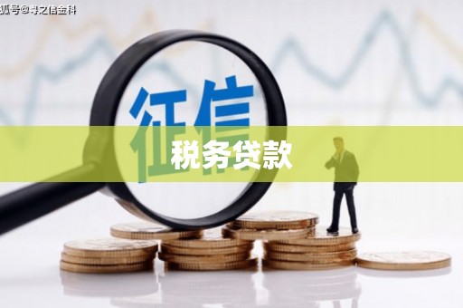 芦洲税务贷款