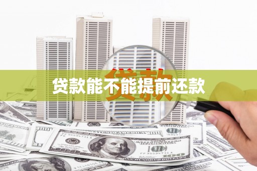 芦洲贷款能不能提前还款