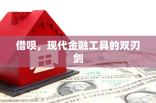 芦洲借呗，现代金融工具的双刃剑