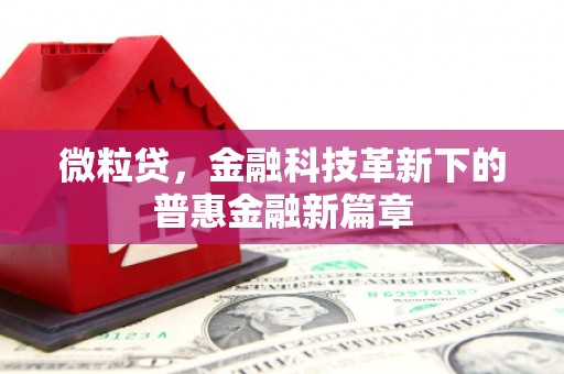 芦洲微粒贷，金融科技革新下的普惠金融新篇章