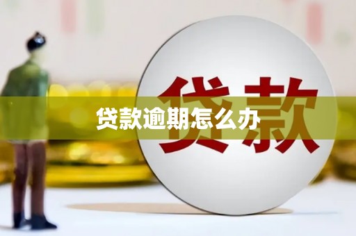 芦洲贷款逾期怎么办