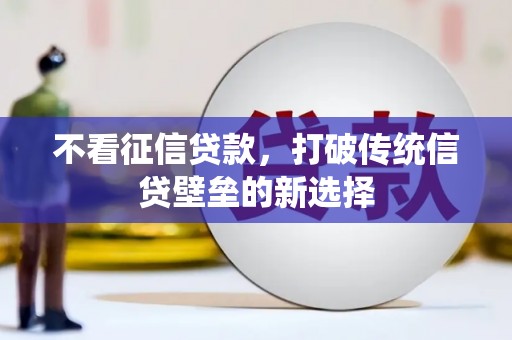 芦洲不看征信贷款，打破传统信贷壁垒的新选择