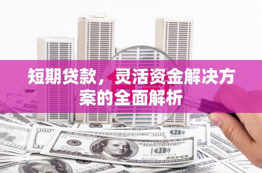 芦洲短期贷款，灵活资金解决方案的全面解析