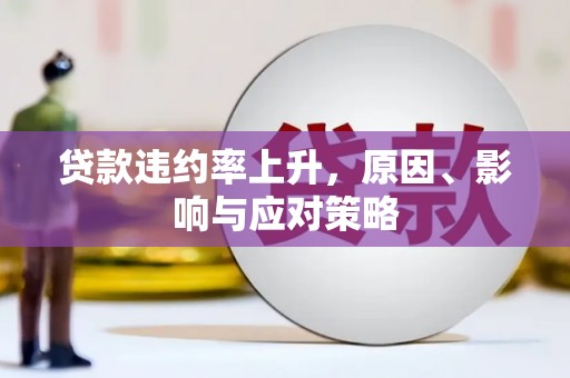 芦洲贷款违约率上升，原因、影响与应对策略