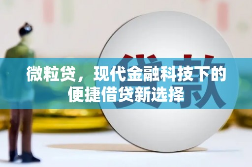 芦洲微粒贷，现代金融科技下的便捷借贷新选择