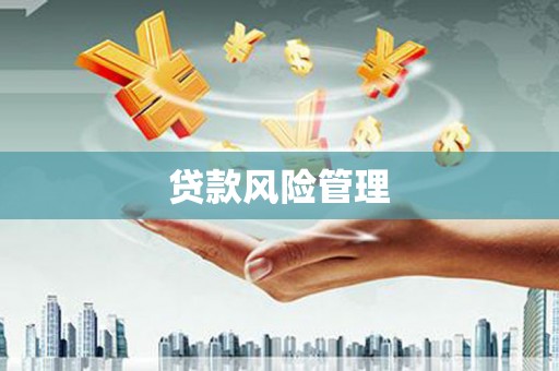 芦洲贷款风险管理