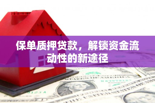 芦洲保单质押贷款，解锁资金流动性的新途径