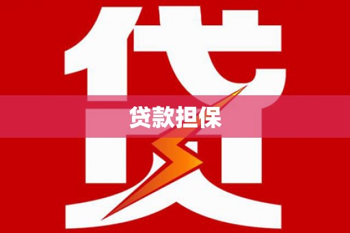 芦洲贷款担保