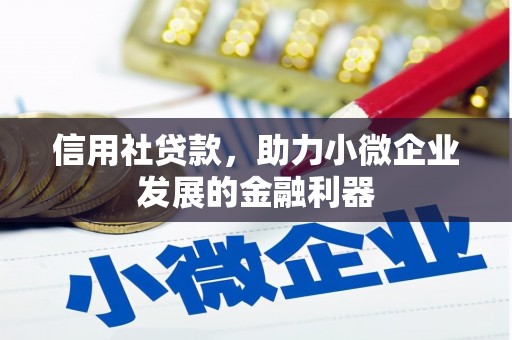 芦洲信用社贷款，助力小微企业发展的金融利器