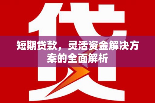芦洲短期贷款，灵活资金解决方案的全面解析