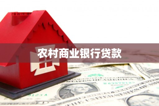 芦洲农村商业银行贷款